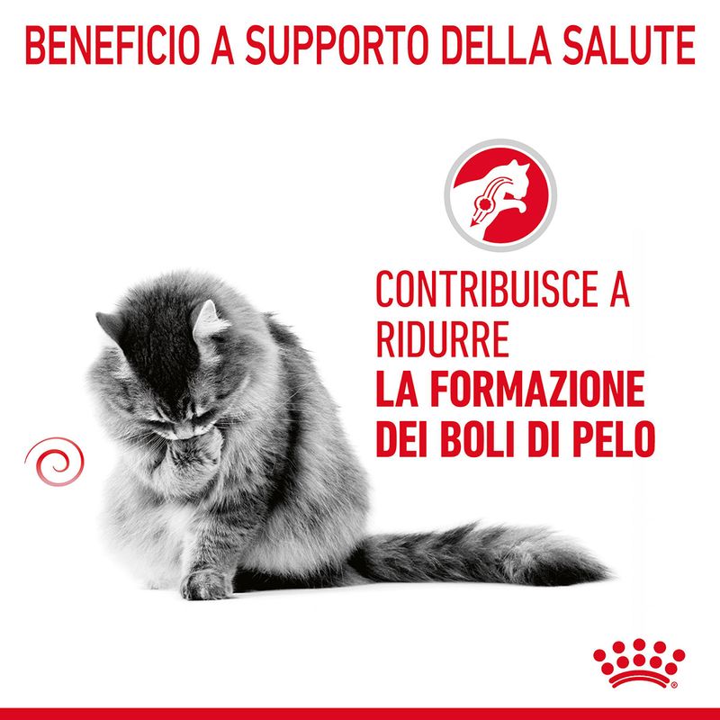 Royal Canin Hairball Care 400g - Crocchette per Gatti Royal Canin Hairball Care 400g - Crocchette per Gatti